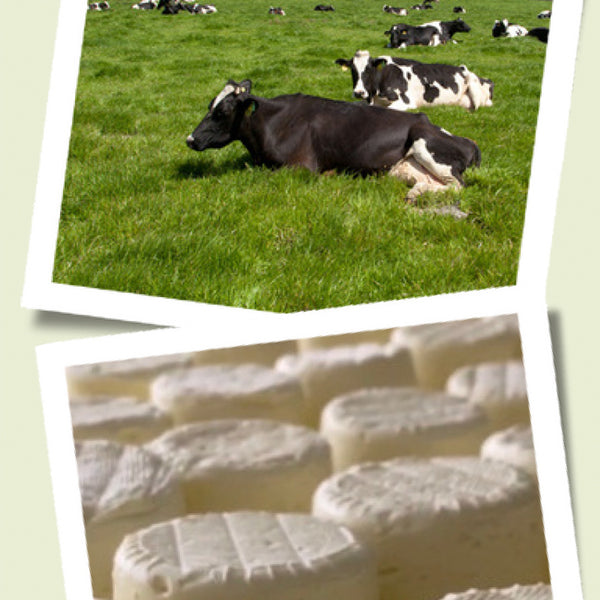 Join Us for a Guided Tour and Cheese Tasting!